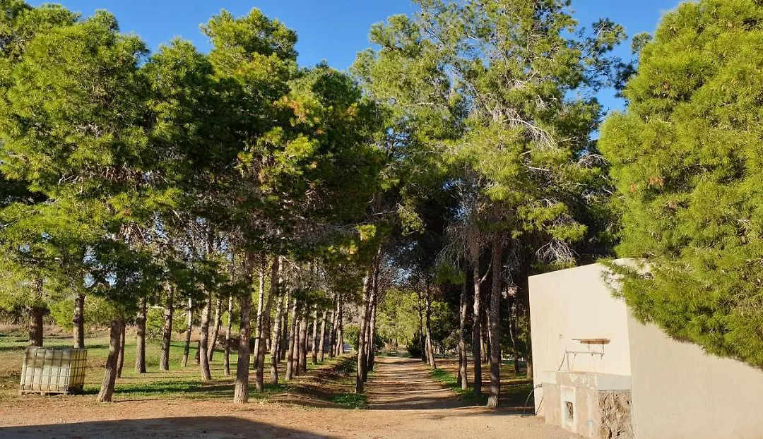 El Molino de arriba-1